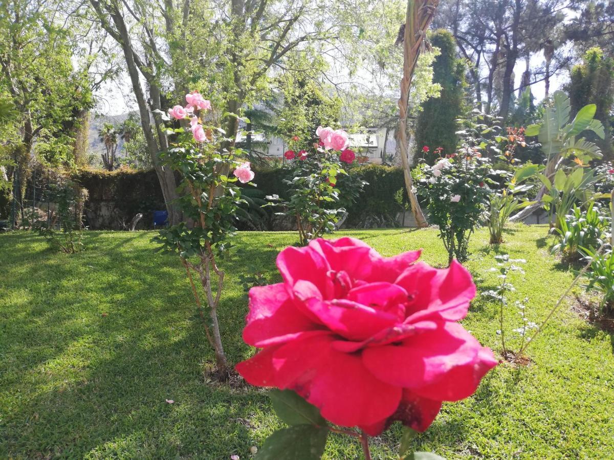 Double Room with Extra Bed,1586154449:JPEG