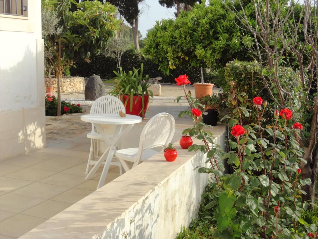 Studio,31337234:JPEG