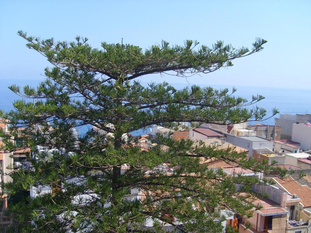 Double or Twin Room with Garden View