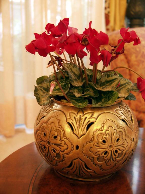 Deluxe Single Room,663554112:JPEG