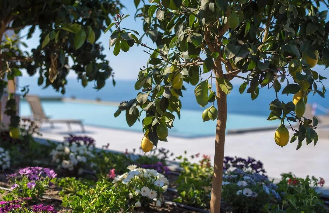 Best Western Plus Hotel Terre di Eolo-1