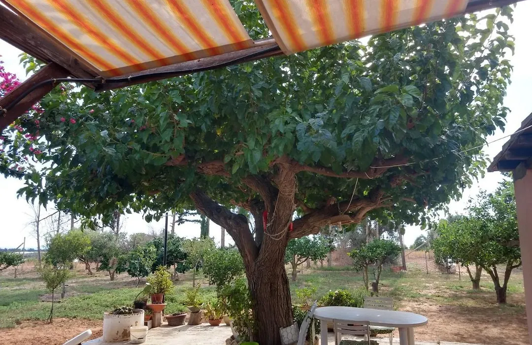 Il Gazebo-1