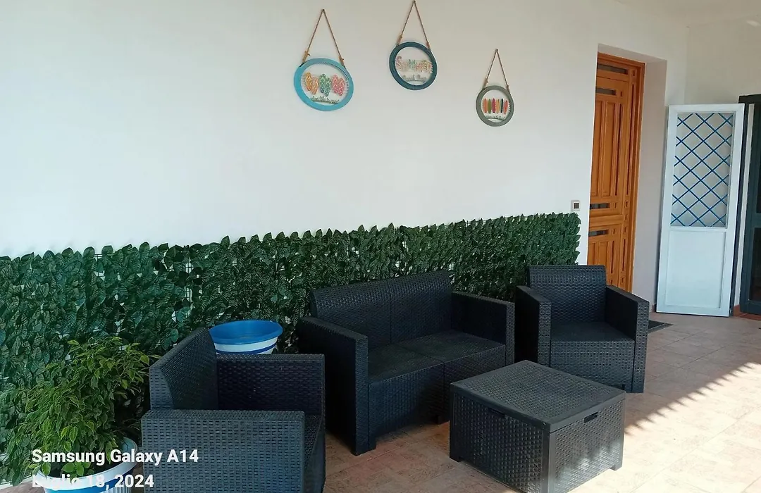 La Cycas-1