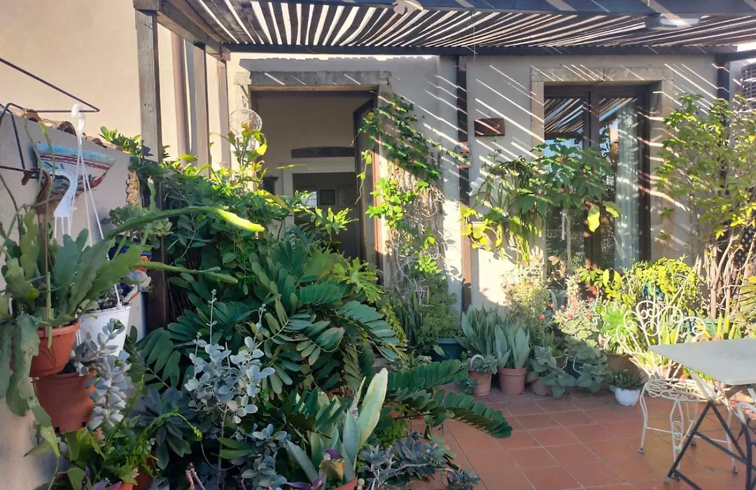 Crociferi B&B-1