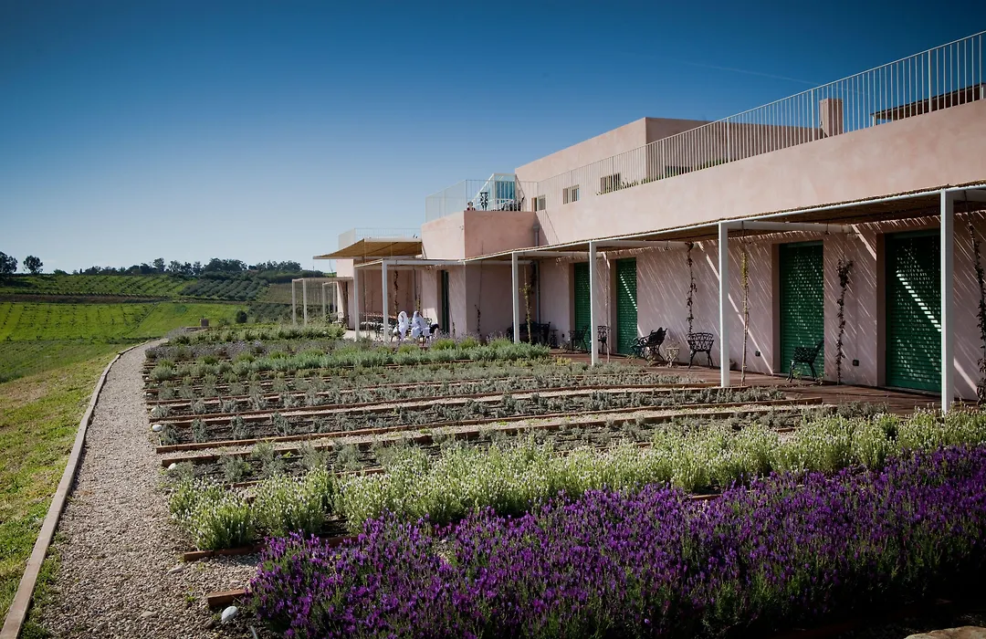 La Foresteria Planeta Wine Resort & Beach Club-1