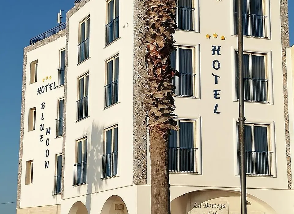 Blue Moon Hotel-1