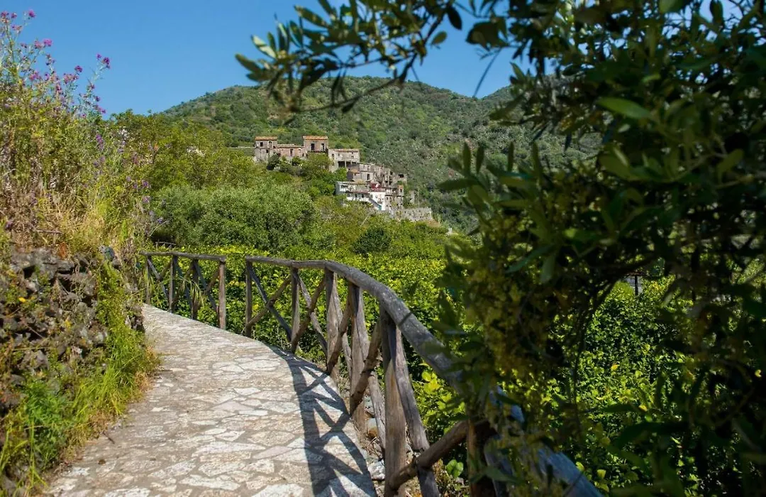 Villa Teresa B&B-1