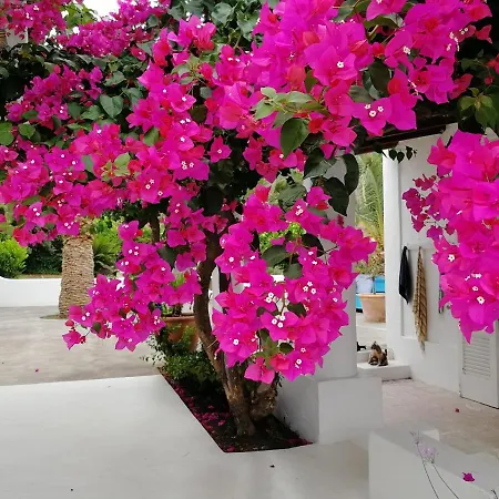 Casa Carlotta-3