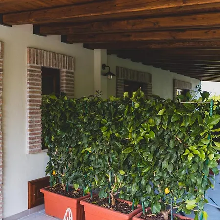 Il Limoneto Rooms-2