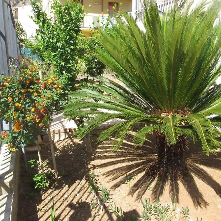 La Cycas-3