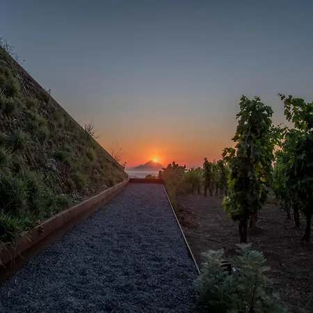 Castellaro Wine Resort-3