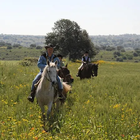 Casato Licitra-2