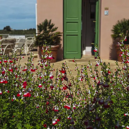 La Foresteria Planeta Wine Resort & Beach Club-3