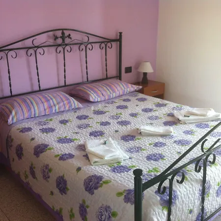 B&B Xenia-3