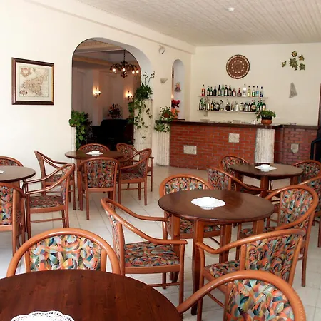 Hotel Delle Palme-3