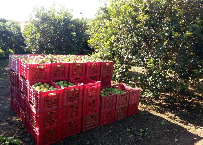 Sicilian Garden