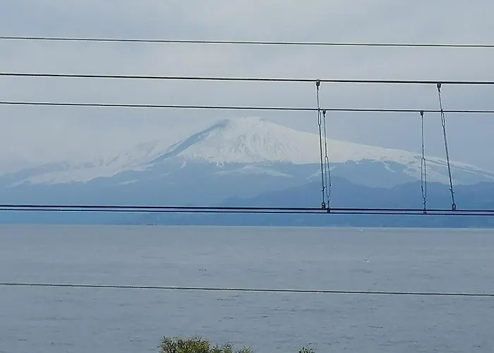 Il corallo azzurro