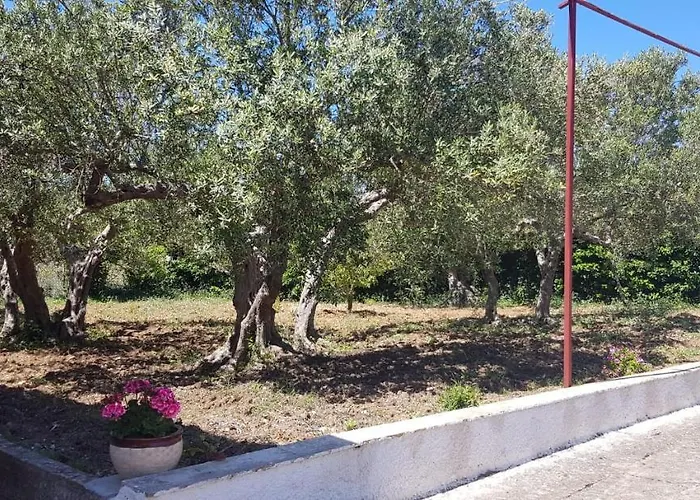 Villa Andrea