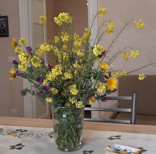 Flower House