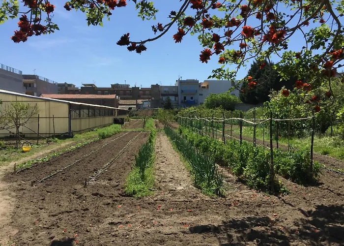 Ortosalato Agricamping