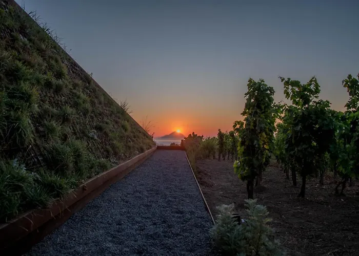 Castellaro Wine Resort