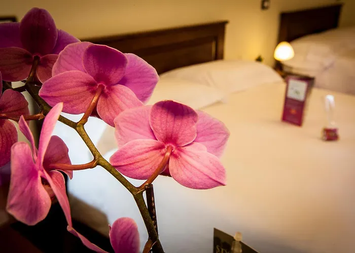 Hotel Residenza Petra