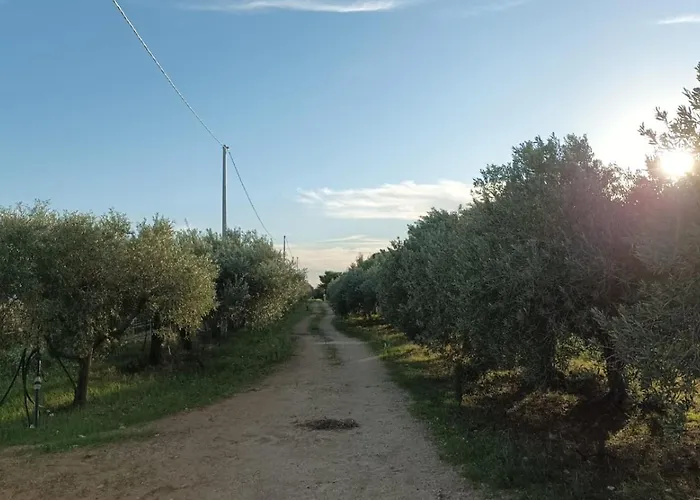 Casa Bouganville villetta tra le vigne e il mare