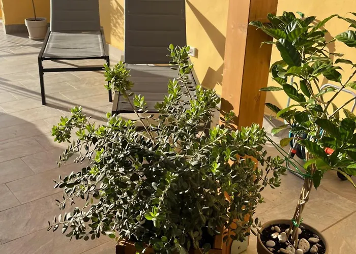 La Terrazza di Nela