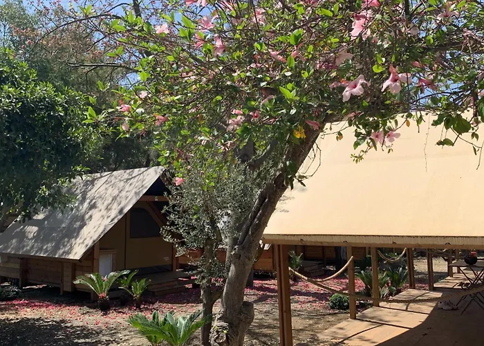 Il Pampaleone Glamping&Resort