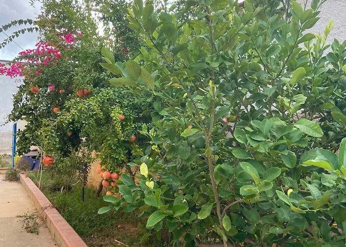 Villa Rosa Bella Vista Balestrate
