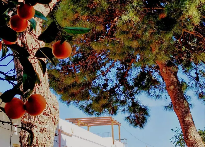 Agriturismo Aiolia al mare