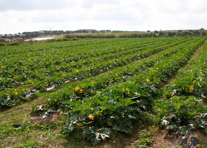 Agriturismo Agrimaccari Marzamemi-Vendicari - Esperienza autentica siciliana