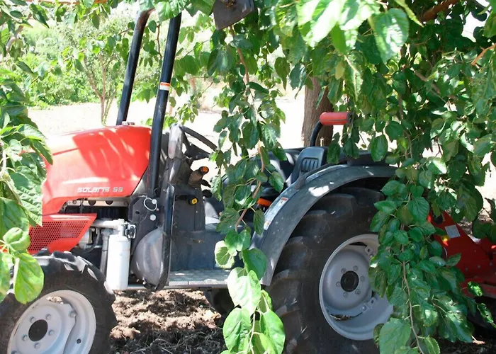 Agriturismo Agrimaccari Marzamemi-Vendicari - Esperienza autentica siciliana