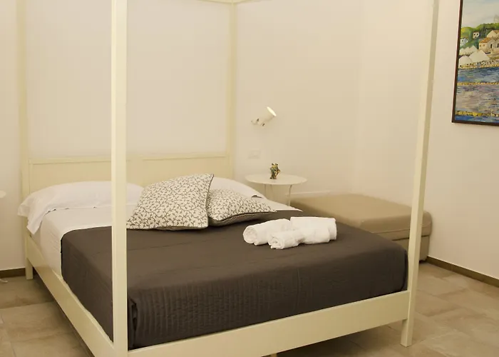 B&B Nencioli