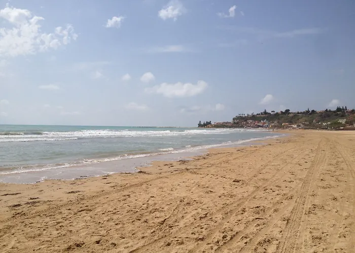 Le Maioliche