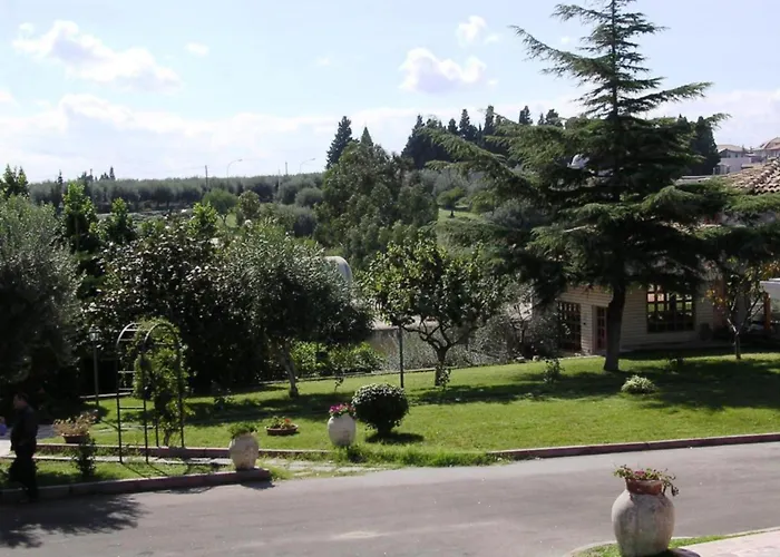 Valle Degli Ulivi