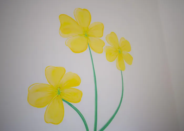 B&B Fiori Gialli Caucana