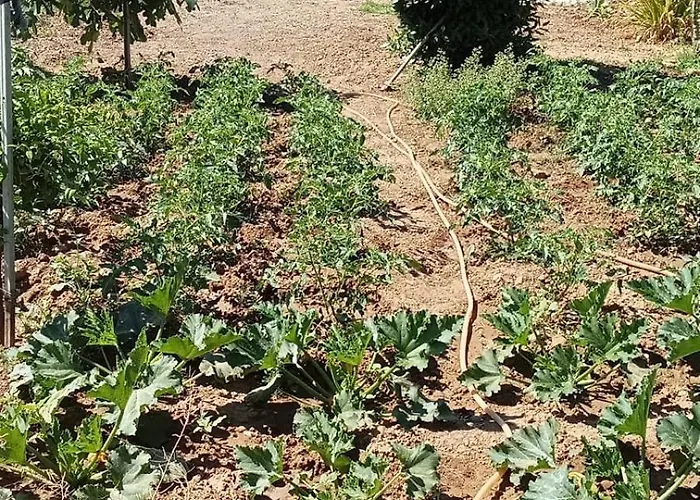 La Bianca Scogliera